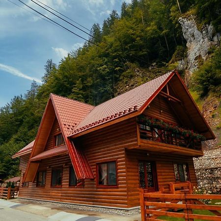 Casa Cheile Dambovicioarei - Cabana 2 Dîmbovicioara 외부 사진