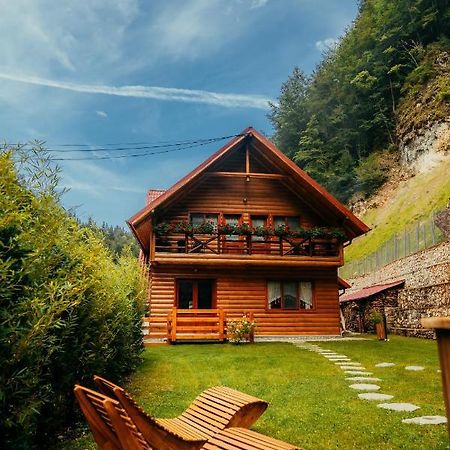Casa Cheile Dambovicioarei - Cabana 2 Dîmbovicioara 외부 사진