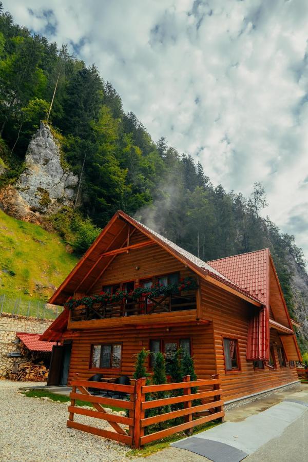 Casa Cheile Dambovicioarei - Cabana 2 Dîmbovicioara 외부 사진