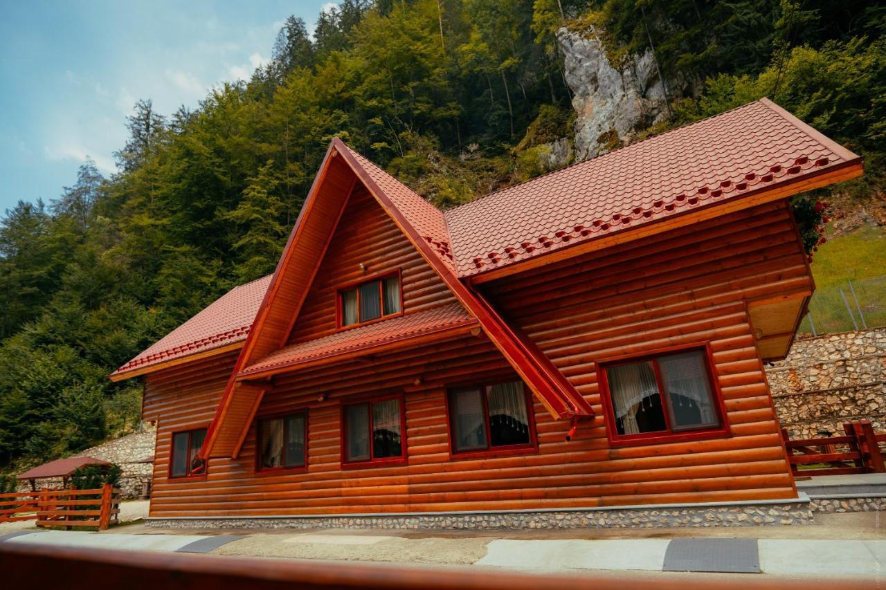 Casa Cheile Dambovicioarei - Cabana 2 Dîmbovicioara 외부 사진