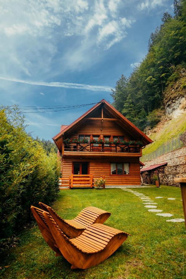 Casa Cheile Dambovicioarei - Cabana 2 Dîmbovicioara 외부 사진